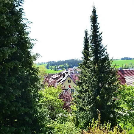 Black Forest Grafenhausen