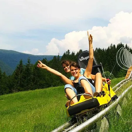 Hotel Black Forest Grafenhausen